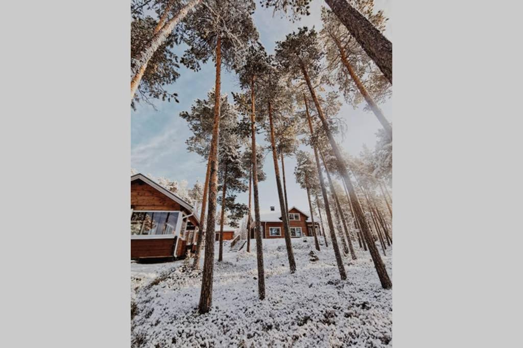 Villa Autumn Leaf Ivalo